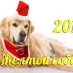 В каком цвете надо встречать новый 2018 год