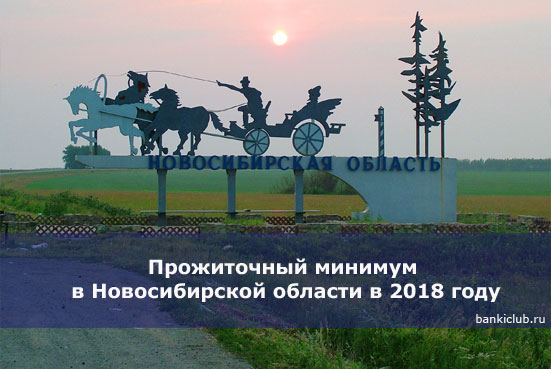 Прожиточный минимум в Новосибирской области в 2018 году