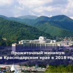 Прожиточный минимум в Краснодарском крае в 2018 году
