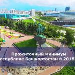 Прожиточный минимум в Республике Башкортостан в 2018 году