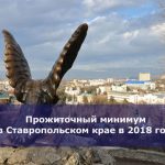 Прожиточный минимум в Ставропольском крае в 2018 году