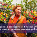 Новый закон о садоводстве с 1 января 2019 года — как изменится жизнь садоводов в России