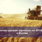 Прогноз урожая зерновых на 2018 год в России