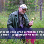 Налог на сбор ягод и грибов в России в 2018 году — существует ли такой в законе?
