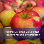 Яблочный спас 2018 года — какого числа отмечается