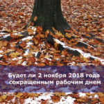 Будет ли 2 ноября 2018 года сокращенным рабочим днем