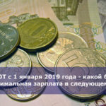 МРОТ с 1 января 2019 года — какой будет минимальная зарплата в следующем году