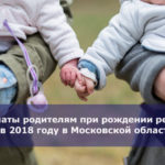 Выплаты родителям при рождении ребенка в 2018 году в Московской области