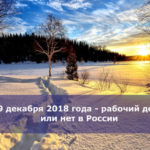 29 декабря 2018 года — рабочий день или нет в России