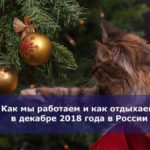 Как мы работаем и как отдыхаем в декабре 2018 года в России