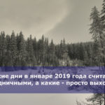 Какие дни в январе 2019 года считаются праздничными, а какие — просто выходными