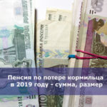 Пенсия по потере кормильца в 2019 году — сумма, размер