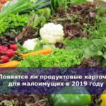 Появятся ли продуктовые карточки для малоимущих в 2019 году — последние новости из Минпромторга