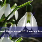 Какой будет весна 2019 года в России