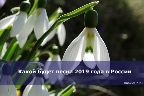 Какой будет весна 2019 года в России