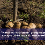 “Налог на картошку” утвержден с марта 2019 года — о чем шум?