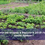 Налог на огород в России в 2019 году — закон принят?