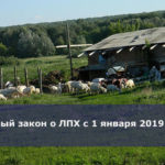 Новый закон о ЛПХ с 1 января 2019 года