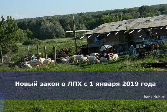 Изображение - Налог на подсобное хозяйство вводится с 1 марта 2019 года novyj-zakon-o-lph-s-1-yanvarya-2019-goda