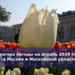 Прогноз погоды на апрель 2019 года в Москве и Московской области