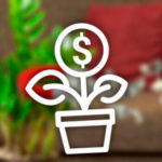 Растения для привлечения денег в дом