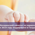 Материнский капитал за первенца в 2019 году поддержали в Госдуме