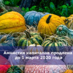 Амнистия капиталов продлена до 1 марта 2020 года