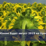 Каким будет август 2019 на Урале