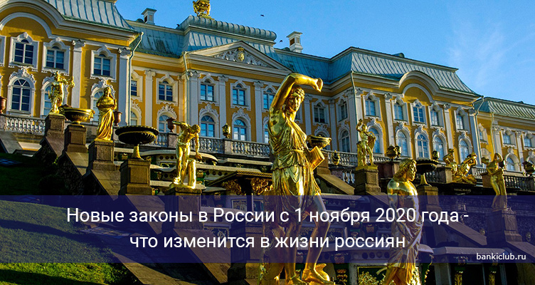 Новые законы в России с 1 ноября 2020 года - что изменится в жизни россиян